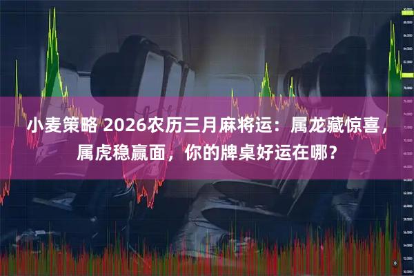 小麦策略 2026农历三月麻将运：属龙藏惊喜，属虎稳赢面，你的牌桌好运在哪？